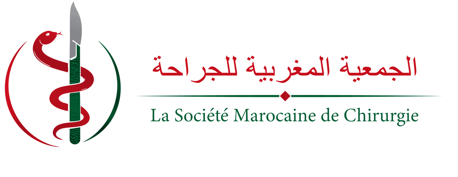 logo somachir transparent